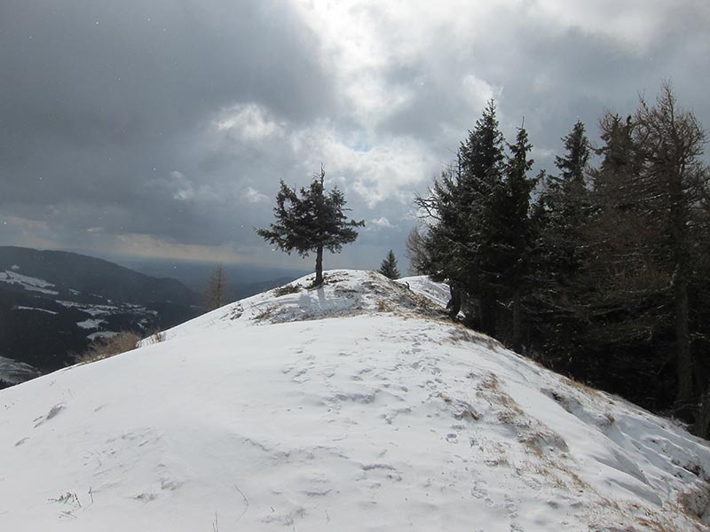 teichalm